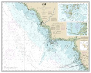 thumbnail for chart Crystal River to Horseshoe Point;Suwannee River;Cedar Keys