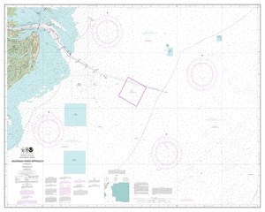 thumbnail for chart Savannah River Approach