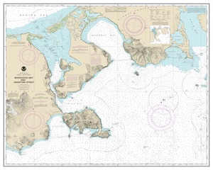 thumbnail for chart Morzhovoi Bay and Isanotski Strait