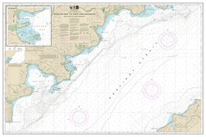 thumbnail for chart Dakavak Bay to Cape Unalishagvak;Alinchak Bay