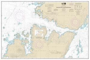 thumbnail for chart Shuyak Strait and Bluefox Bay