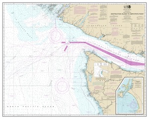 thumbnail for chart Approaches to Strait of Juan de Fuca Destruction lsland to Amphitrite Point