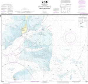 thumbnail for chart Eastern Entrance to Nantucket Sound