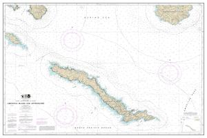 thumbnail for chart Amchitka Island and Approaches