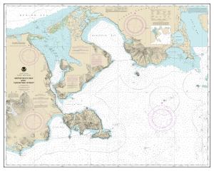 thumbnail for chart Morzhovoi Bay and Isanotski Strait,