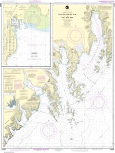 thumbnail for chart Cape Resurrection to Two Arm Bay;Seward