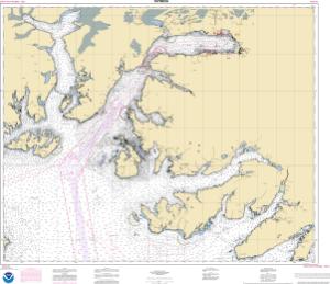 thumbnail for chart Prince William Sound-Port Fidalgo and Valdez Arm