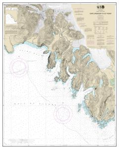 thumbnail for chart Cape Spencer to Icy Point,