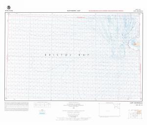 thumbnail for chart CAPE NEWENHAM